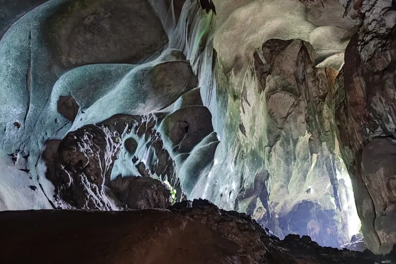 ระบบนิเวศภายในถ้ำ – บ้านของค้างคาว แมลง และสิ่งมีชีวิตใต้ดิน