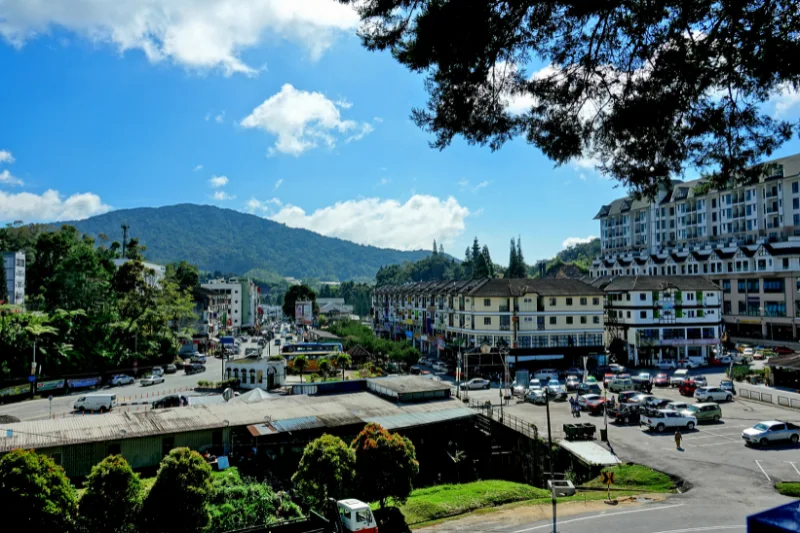 คาเมรอนไฮแลนด์ หนีร้อน เที่ยวไร่ชาและภูเขา